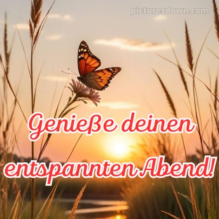 Ich wünsche dir einen schönen abend bild 5 kostenlos