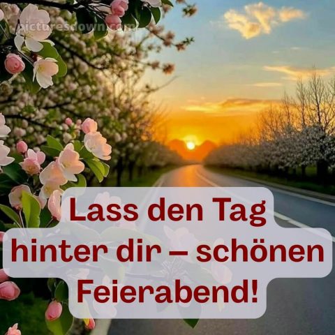 Ich wünsche dir einen schönen abend bild 9 kostenlos