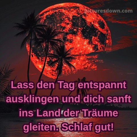 Ich wünsche dir einen schönen abend und später eine gute nacht herz bild 12 kostenlos