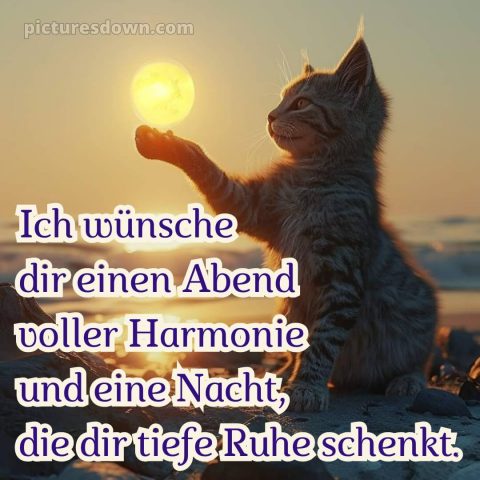 Ich wünsche dir einen schönen abend und später eine gute nacht herz bild 14 kostenlos