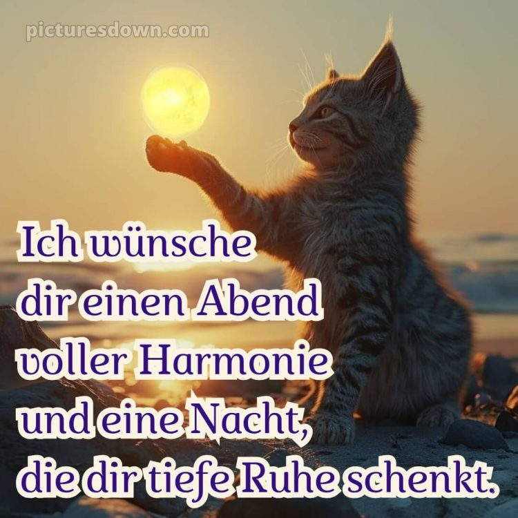 Ich wünsche dir einen schönen abend und später eine gute nacht herz bild 14 kostenlos