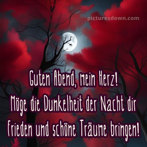 Ich wünsche dir einen schönen abend und später eine gute nacht herz bild 7 kostenlos