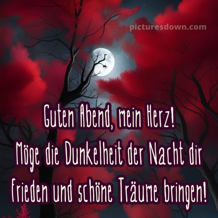 Ich wünsche dir einen schönen abend und später eine gute nacht herz bild 7 kostenlos