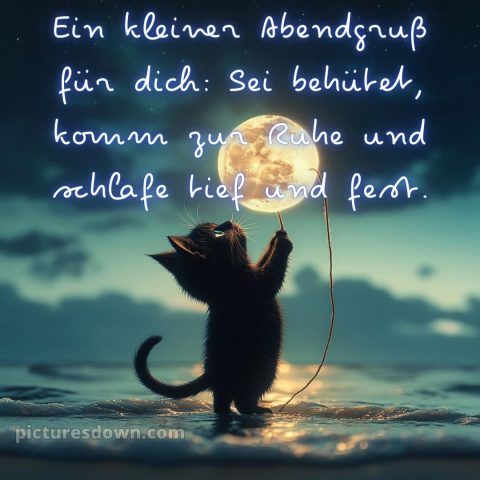 Ich wünsche dir einen schönen abend und später eine gute nacht herz bild 8 kostenlos