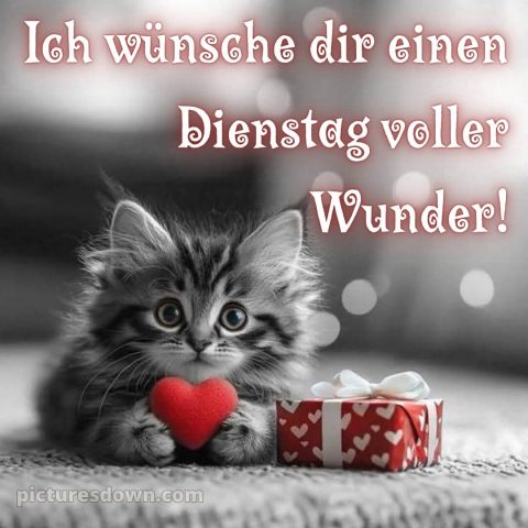 Ich wünsche dir einen schönen dienstag bild 10 kostenlos