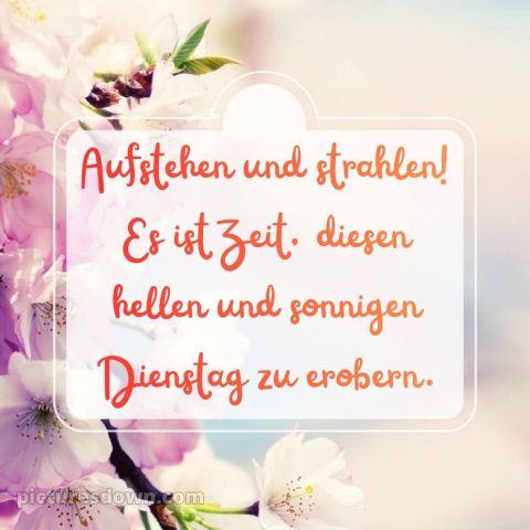 Ich wünsche dir einen schönen dienstag bild 12 kostenlos