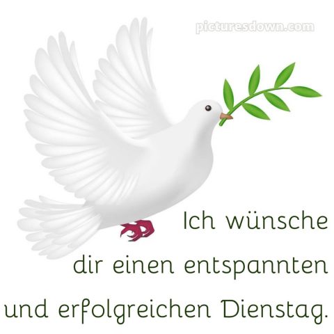 Ich wünsche dir einen schönen dienstag bild 13 kostenlos