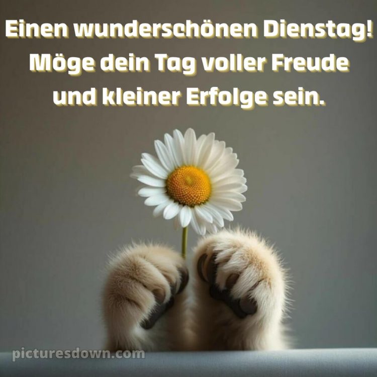 Ich wünsche dir einen schönen dienstag bild 14 kostenlos