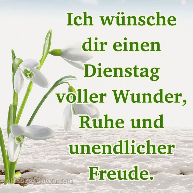 Ich wünsche dir einen schönen dienstag bild 3 kostenlos