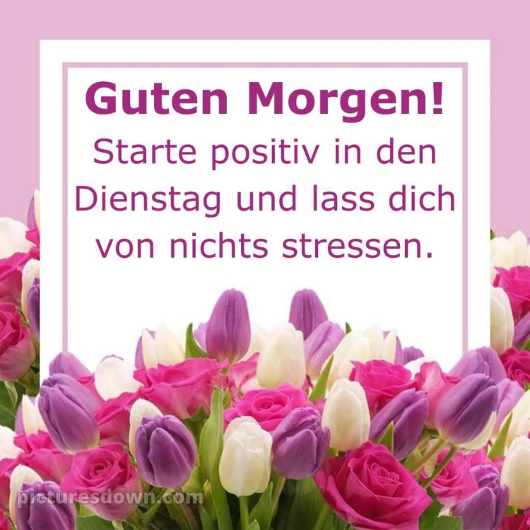 Ich wünsche dir einen schönen dienstag bild 4 kostenlos