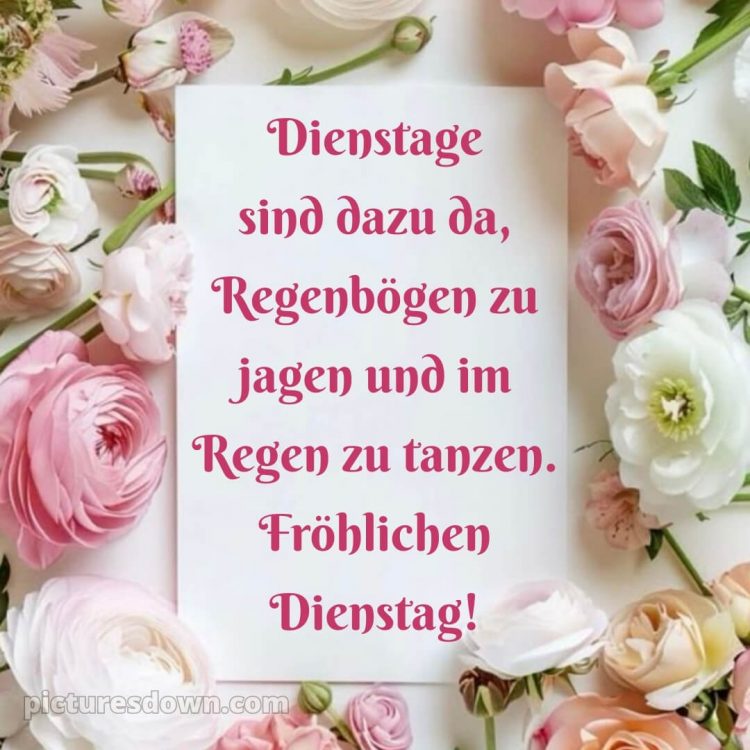 Ich wünsche dir einen schönen dienstag bild 6 kostenlos