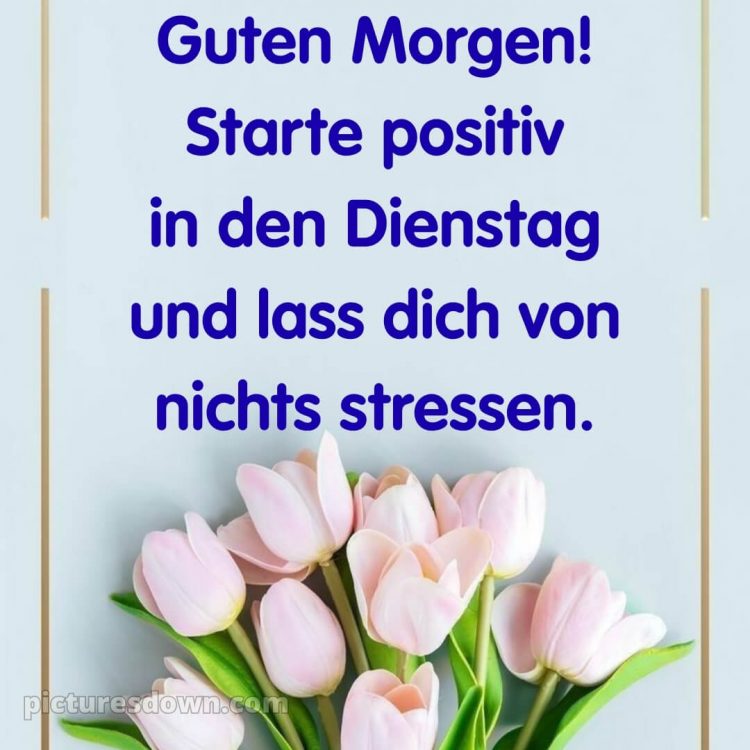 Ich wünsche dir einen schönen dienstag bild 7 kostenlos