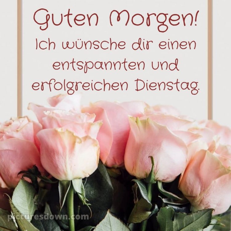 Ich wünsche dir einen schönen dienstag bild 8 kostenlos