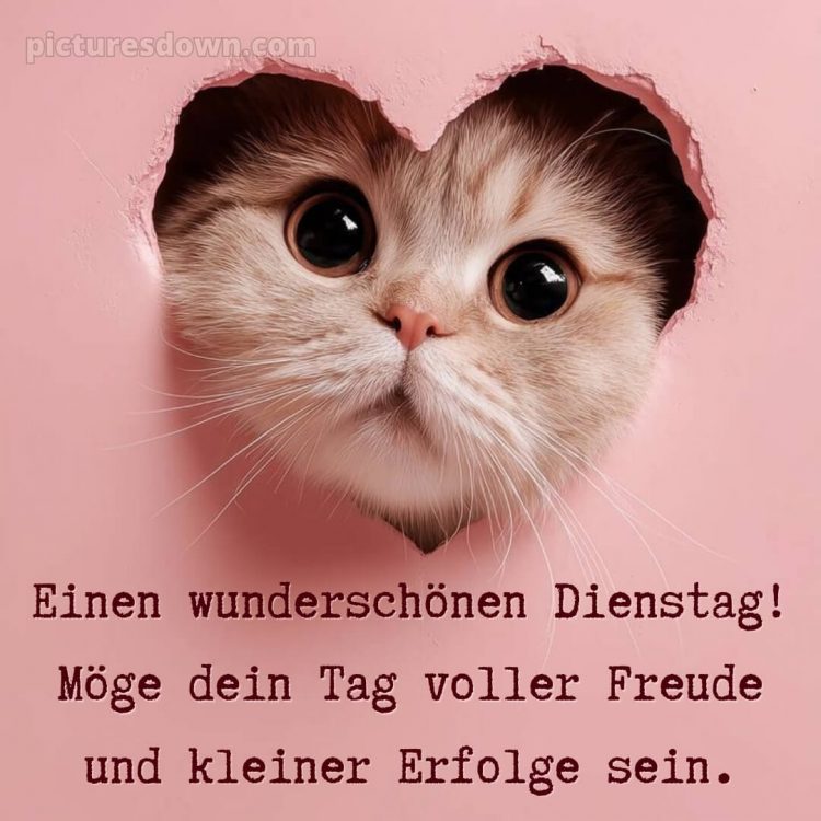 Ich wünsche dir einen schönen dienstag bild 9 kostenlos