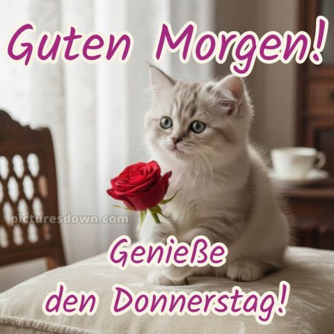 Ich wünsche dir einen schönen donnerstag bild 1 kostenlos