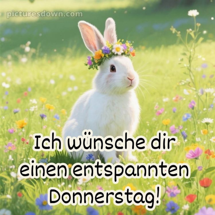 Ich wünsche dir einen schönen donnerstag bild 10 kostenlos