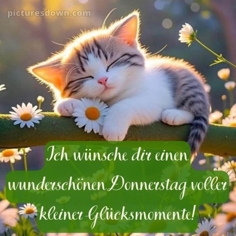 Ich wünsche dir einen schönen donnerstag bild 11 kostenlos