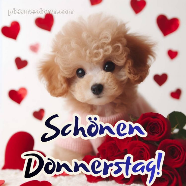 Ich wünsche dir einen schönen donnerstag bild 12 kostenlos