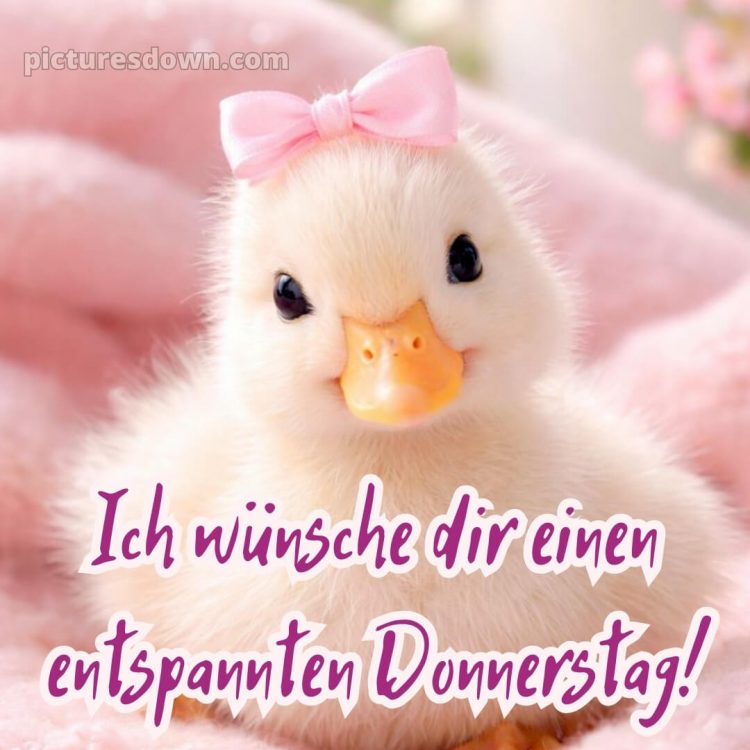 Ich wünsche dir einen schönen donnerstag bild 14 kostenlos