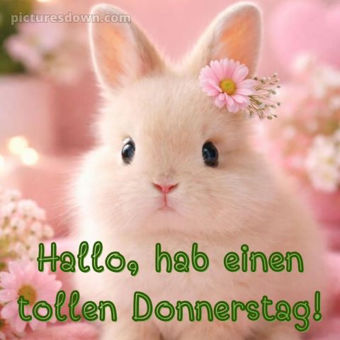 Ich wünsche dir einen schönen donnerstag bild 3 kostenlos