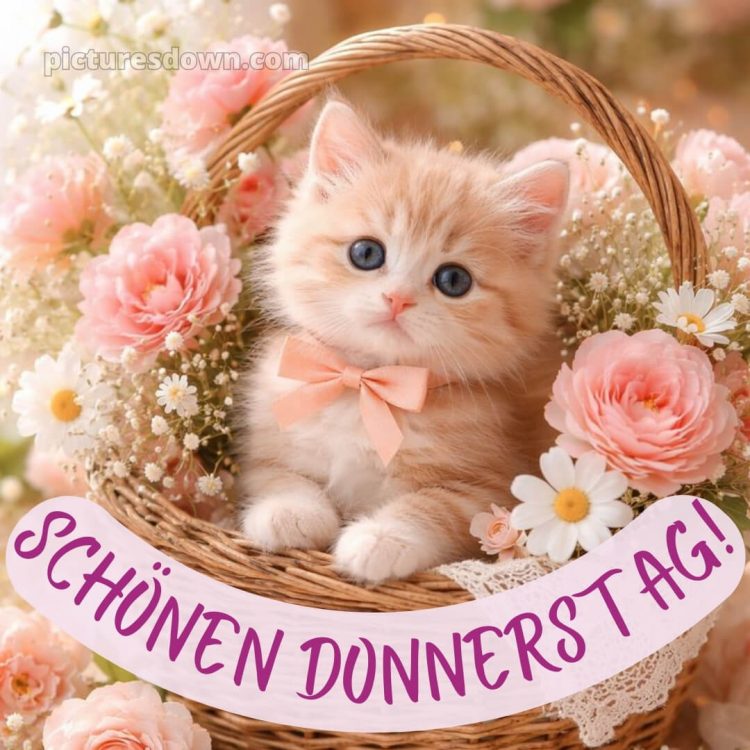 Ich wünsche dir einen schönen donnerstag bild 6 kostenlos