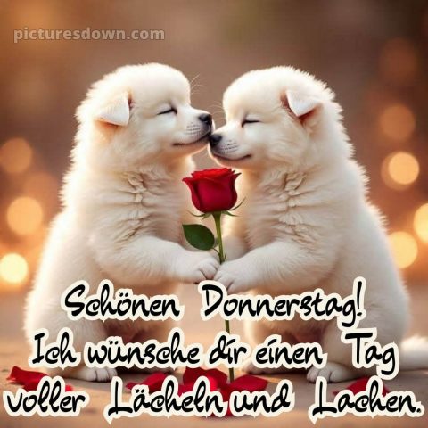 Ich wünsche dir einen schönen donnerstag bild 7 kostenlos