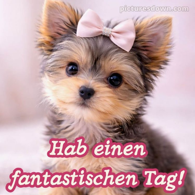 Ich wünsche dir einen schönen tag bild 11 kostenlos