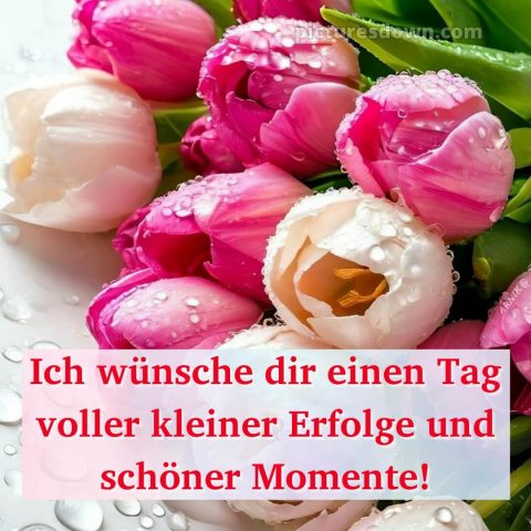 Ich wünsche dir einen schönen tag bild 15 kostenlos