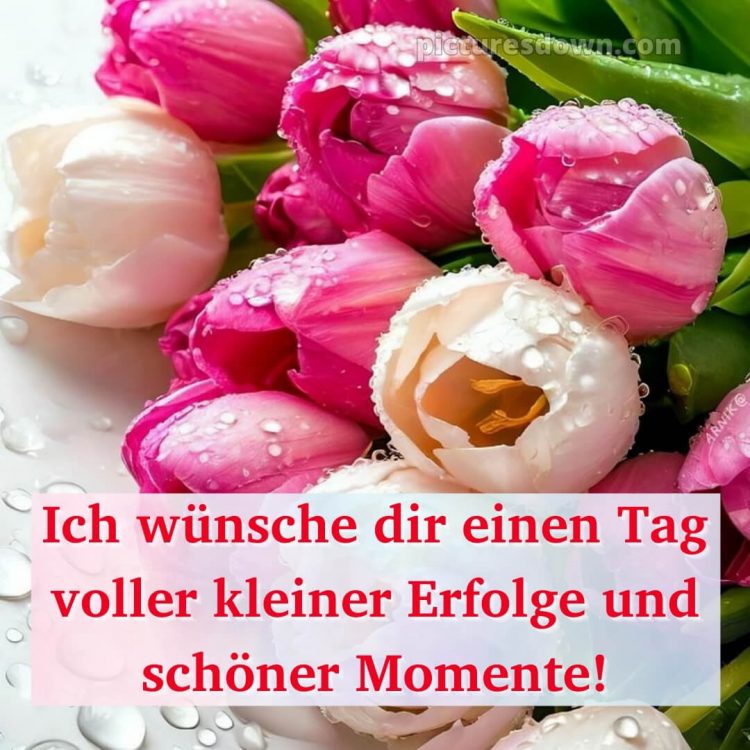 Ich wünsche dir einen schönen tag bild 15 kostenlos