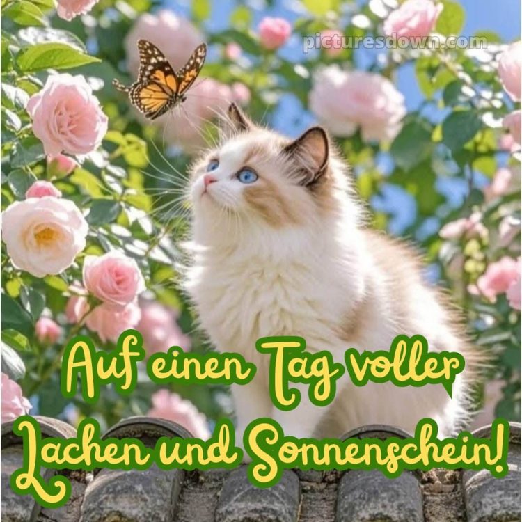 Ich wünsche dir einen schönen tag bild 2 kostenlos