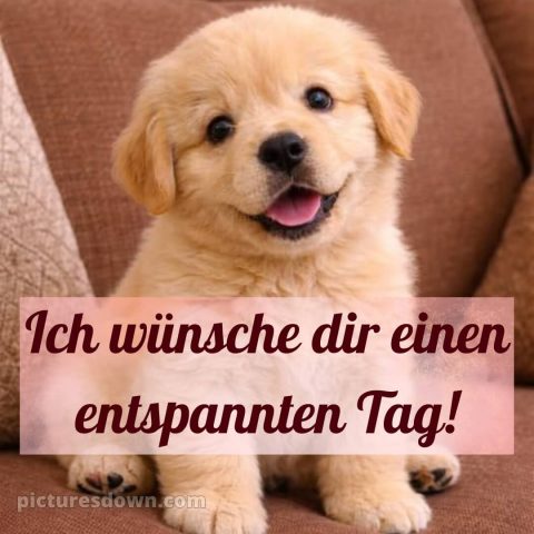 Ich wünsche dir einen schönen tag bild 4 kostenlos