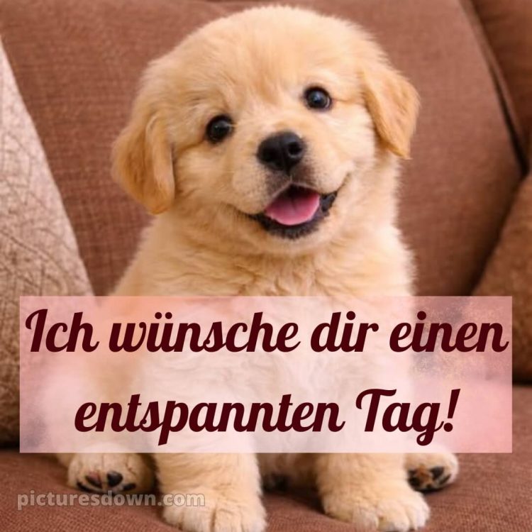 Ich wünsche dir einen schönen tag bild 4 kostenlos