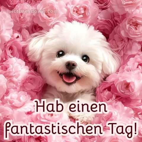 Ich wünsche dir einen schönen tag bild 8 kostenlos