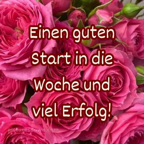 Ich wünsche dir einen schönen wochenstart bild 12 kostenlos