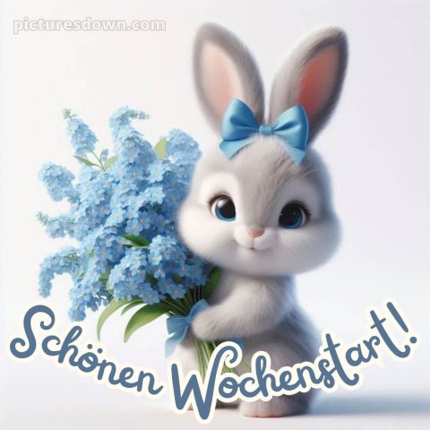 Ich wünsche dir einen schönen wochenstart bild 3 kostenlos