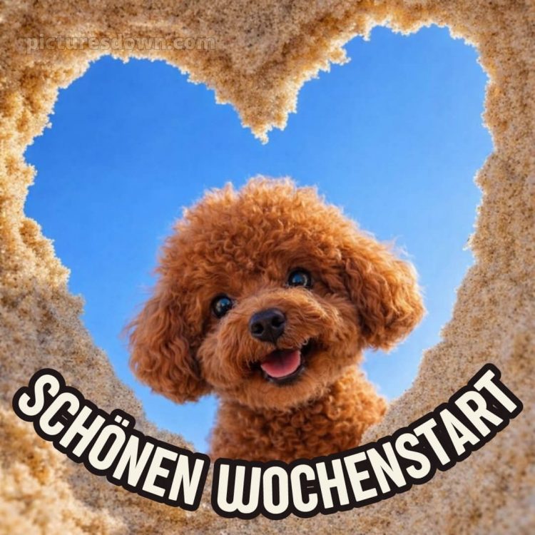 Ich wünsche dir einen schönen wochenstart bild 6 kostenlos