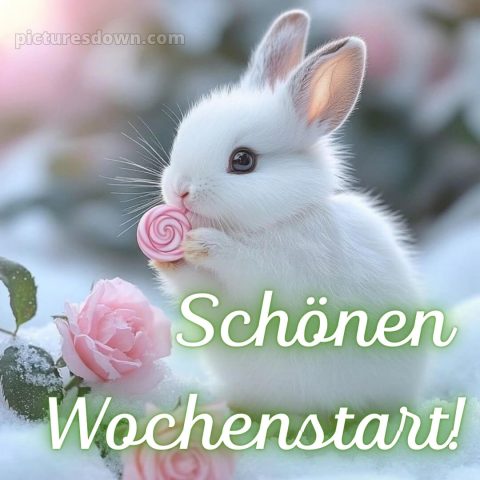 Ich wünsche dir einen schönen wochenstart bild 7 kostenlos