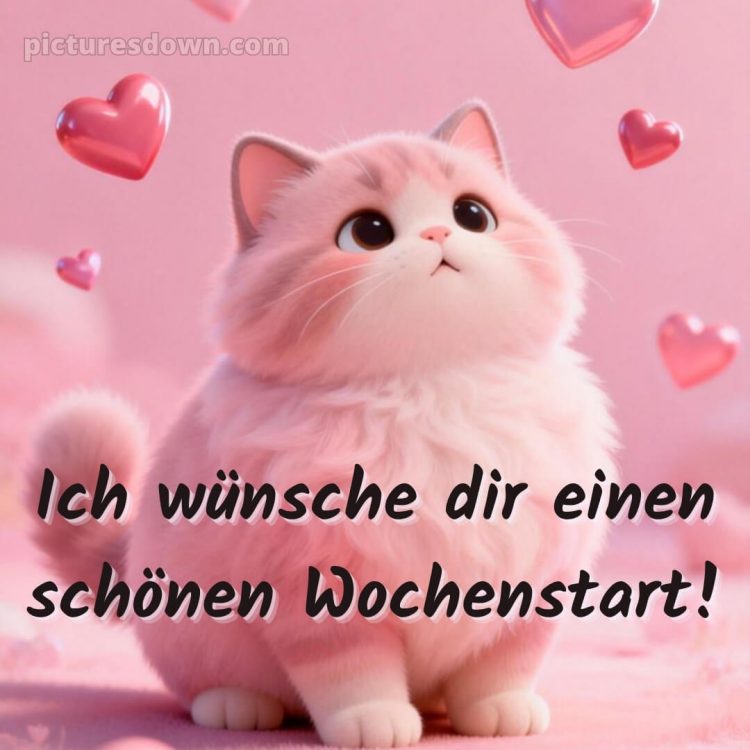 Ich wünsche dir einen schönen wochenstart bild 8 kostenlos
