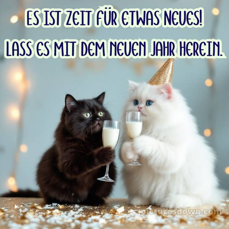 Ich wünsche dir für das neue jahr bild 15 kostenlos