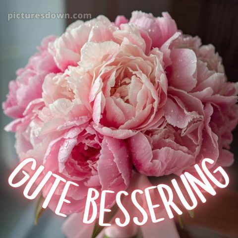 Ich wünsche dir gute besserung bild 16 kostenlos