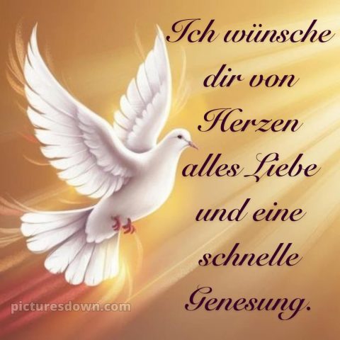 Ich wünsche dir gute besserung bild 25 kostenlos