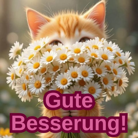 Ich wünsche dir gute besserung bild 26 kostenlos