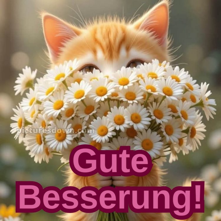 Ich wünsche dir gute besserung bild 26 kostenlos