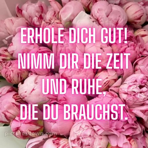 Ich wünsche dir gute besserung bild 28 kostenlos