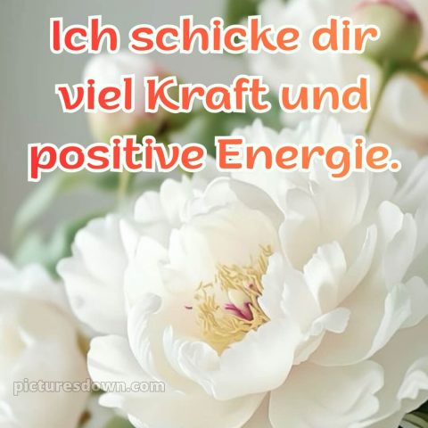 Ich wünsche dir gute besserung bild 17 kostenlos