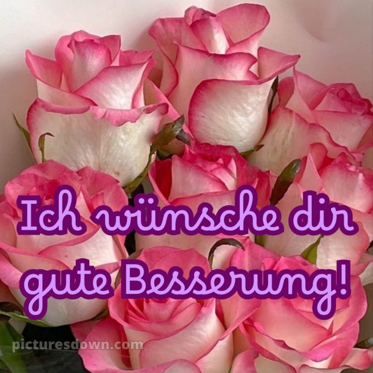 Ich wünsche dir gute besserung bild 18 kostenlos