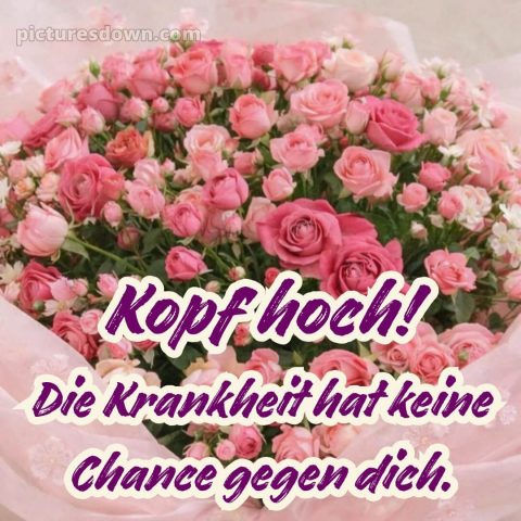 Ich wünsche dir gute besserung bild 23 kostenlos