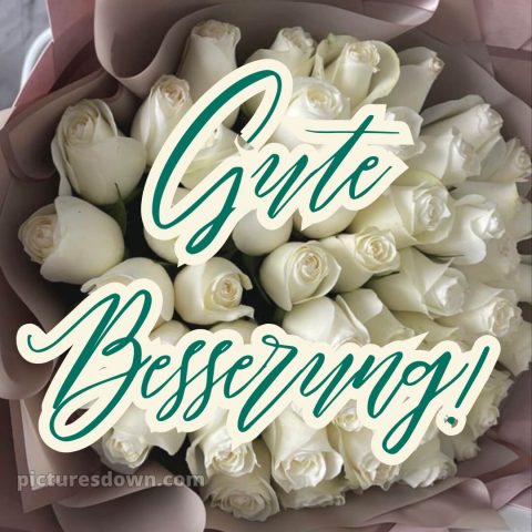 Ich wünsche dir gute besserung bild 24 kostenlos