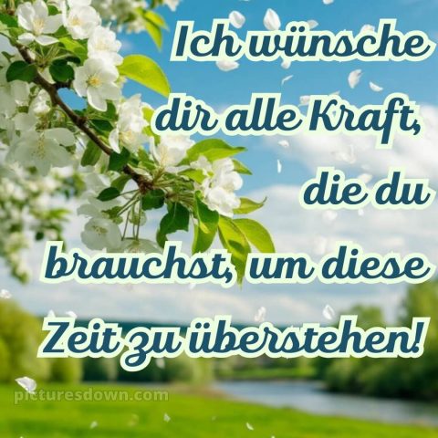 Ich wünsche dir kraft sprüche bild 10 kostenlos