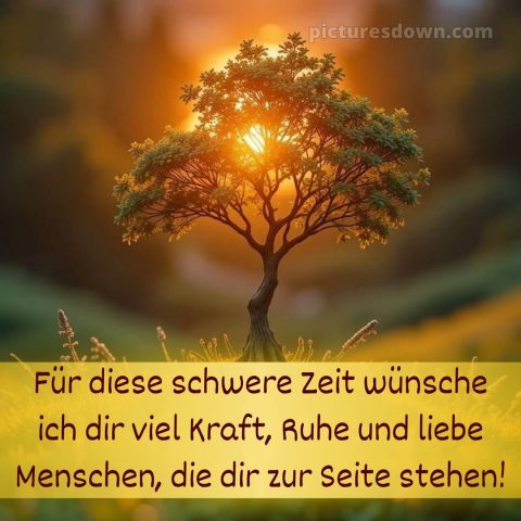 Ich wünsche dir kraft sprüche bild 14 kostenlos